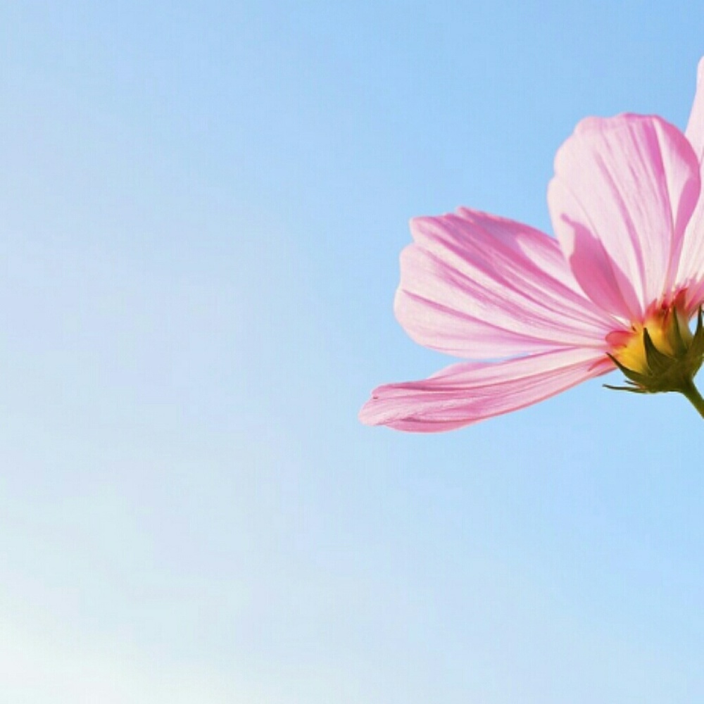 Meet your Posher, Marly